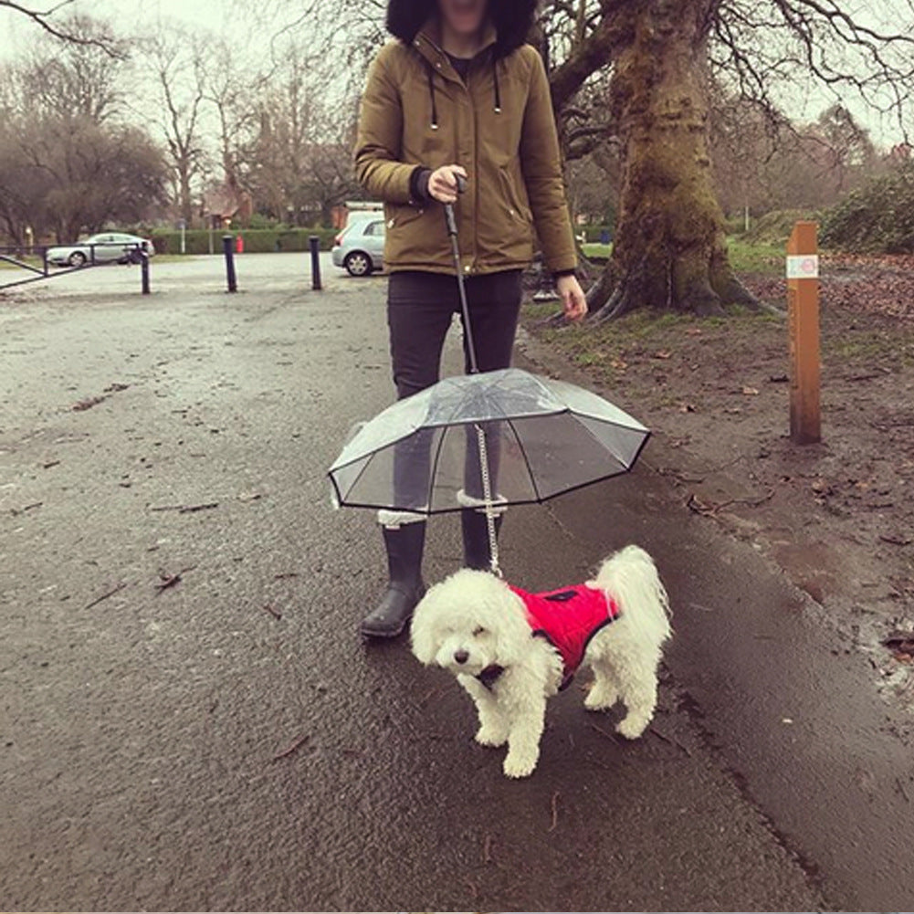 Transparent Pet Umbrella