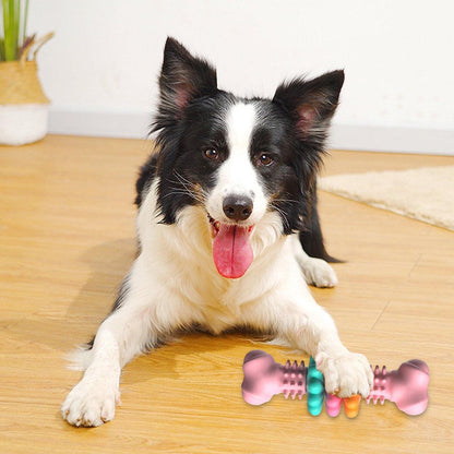 Indestructible TPR Dog Bone Chew Toy