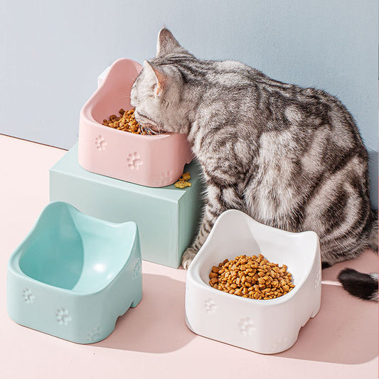 Durable Ceramic Pet Bowl